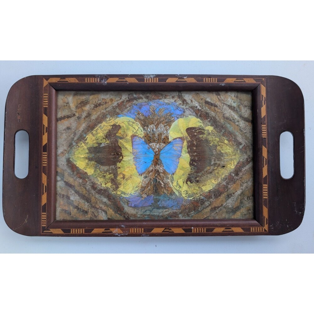 Vintage MCM Brazilian Morpho Butterfly Wing Marquetry Inlay Wood Tray 17” X 9”
